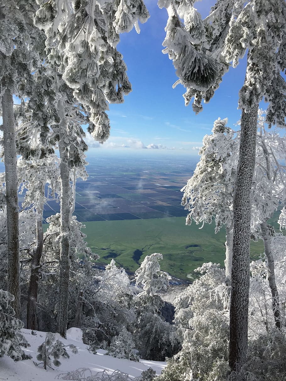 Distance, Tree, View, Snow, Frost, sky, winter, beauty, vista HD wallpaper