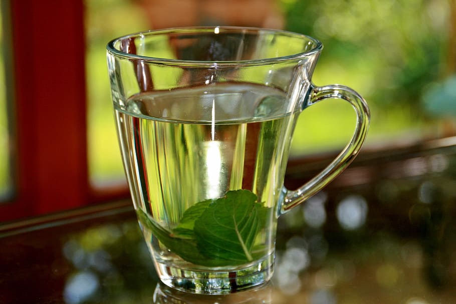 clear glass mug filled of clear liquid, peppermint tea, tee HD wallpaper