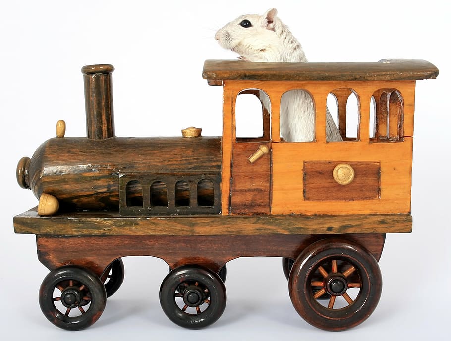 white mouse riding on brown wooden train toy, animal, close, closeup