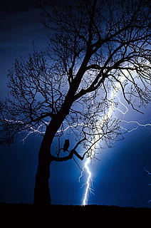 Black three with thunder background picture, thunderstorm, flash HD wallpaper
