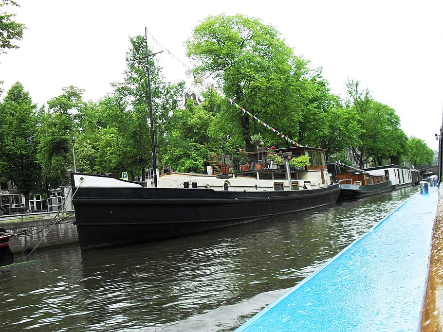 holland, river, bridge, ship, amsterdam, tree, plant, water HD wallpaper