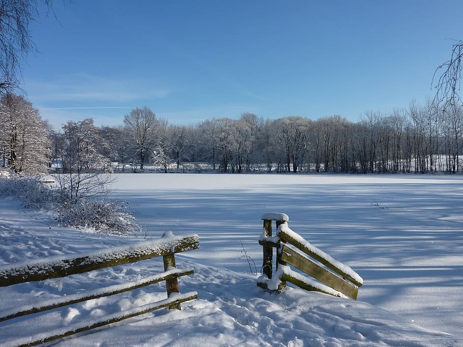winter, landscape, pond, snow, ice, trees, fence away, snowy HD wallpaper