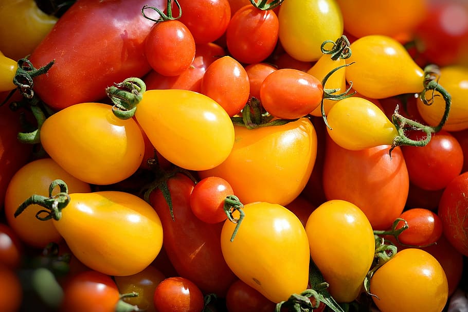 yellow and orange vegetables, yellow tomatoes, background, wallpaper HD wallpaper