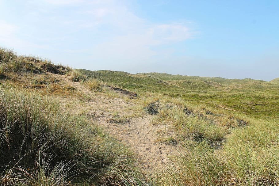 dunes, danish, denmark, summer, sol, natural, holiday, background, HD wallpaper