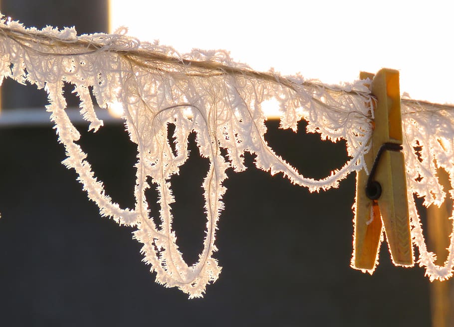 Winter, Frost, Binder, Link, Sunrise, no people, close-up, outdoors HD wallpaper