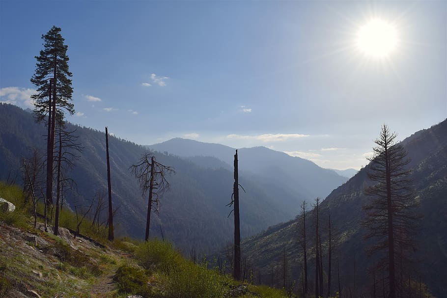 mountains, nature, tree, wood, landscape, forest, season, outdoor HD wallpaper