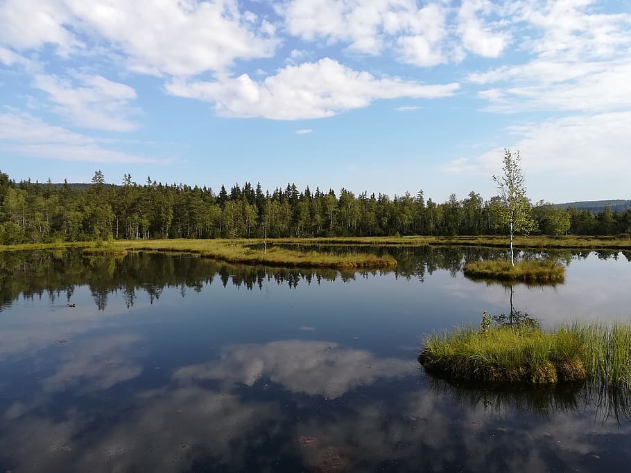 nature, landscape, mountains, forest, trees, clouds, lake, reflection HD wallpaper