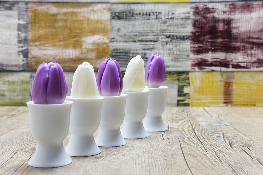 five white purple and white tulip flowers with white vases on table HD wallpaper