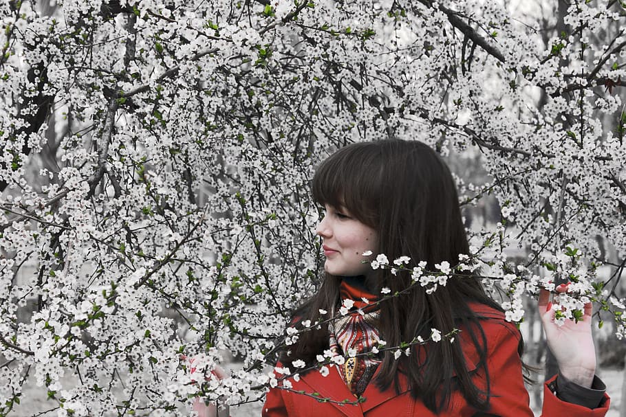 woman wearing red coat standing near tree during daytime, spring HD wallpaper