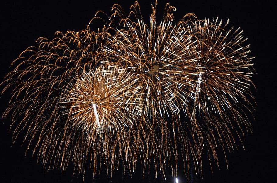 fireworks, laburnum, night, new year's eve, pyrotechnics, new year's day, HD wallpaper