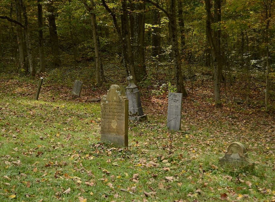 Graves, tombstones near trees at daytime, graveyard, cemetery HD wallpaper