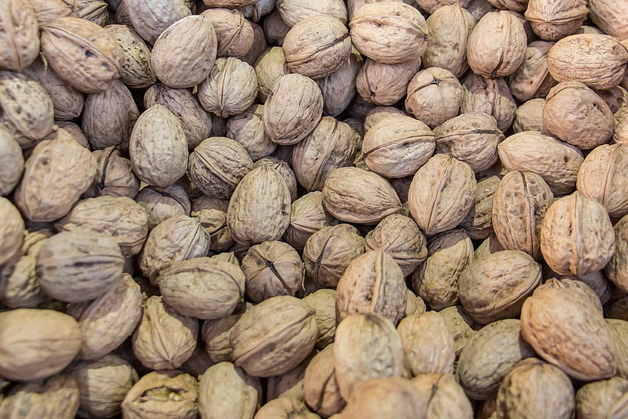 nuts, walnuts, brown, fruit bowl, close, food, christmas market HD wallpaper