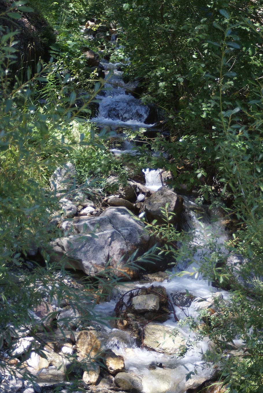 cascade, waterfall, water courses, plant, rock, no people, solid HD wallpaper