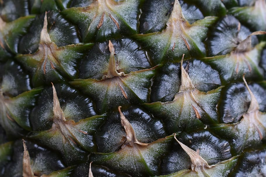 pineapple, fruit, food and drink, close-up, healthy eating HD wallpaper