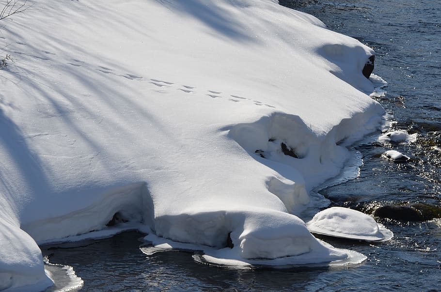 tracks, snow, winter, white, nature, season, cold, landscape HD wallpaper