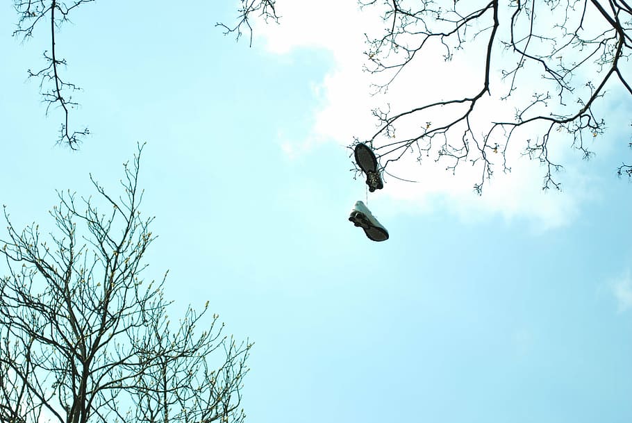 boots, heaven, tree, sky, spring, clouds, branch, nature, low angle view HD wallpaper