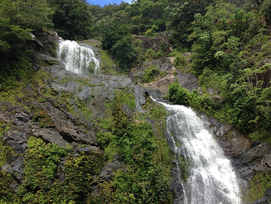Waterfall, Cairns, Rainforest, rainforest waterfalls, river HD wallpaper