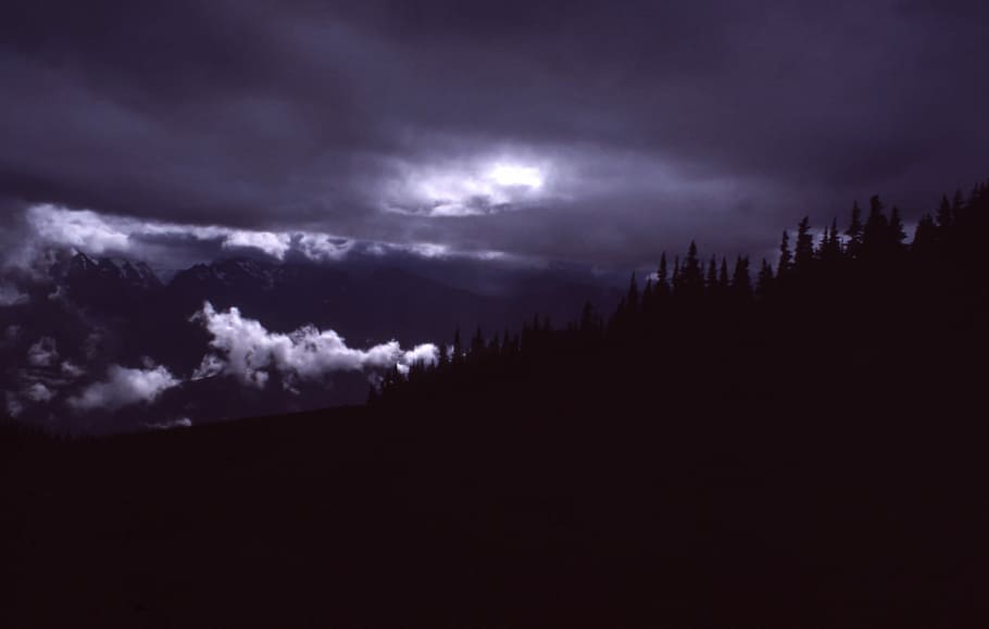 silhouette photo of mountain range with trees, silhouette of forest HD wallpaper