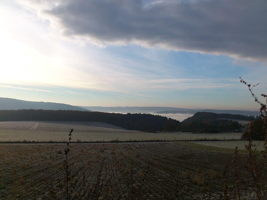 sun, sky, grain, field, landscape, westerwald, germany, nature HD wallpaper