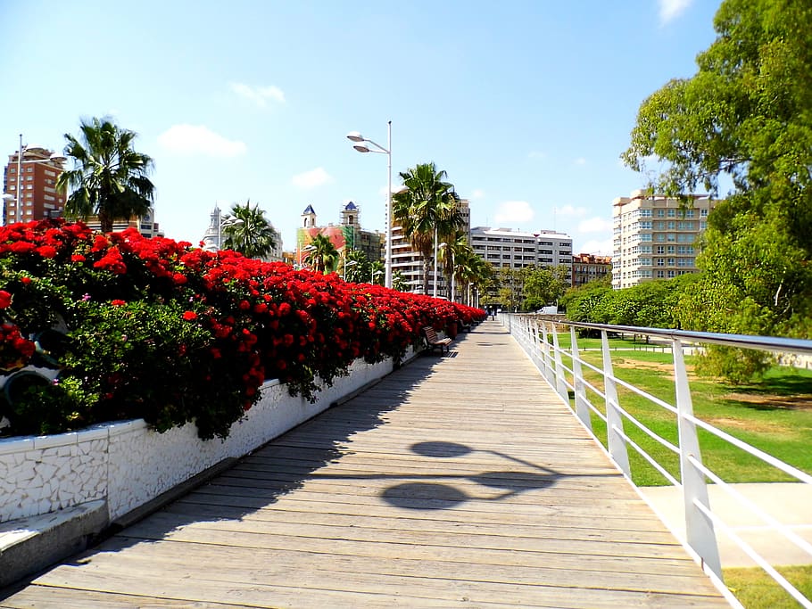 valencia-espana-puente-de-los-flores.jpg