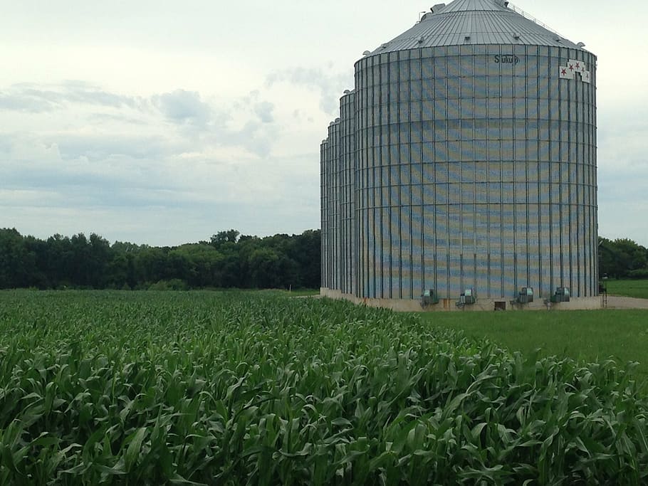 grain bin, iowa, agriculture, farming, midwest, crop, silo HD wallpaper