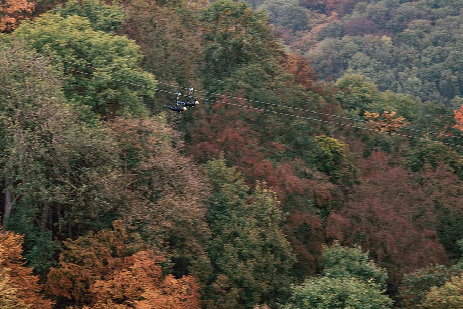 Zipline in Harz, Germany, sports, travel Locations, nature, autumn, HD wallpaper