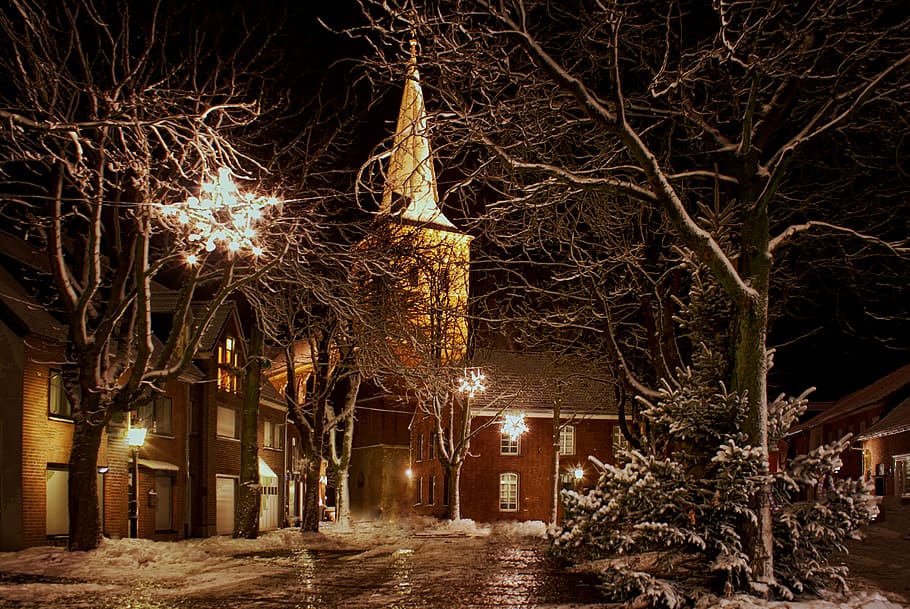 landscape photography of trees, christmas, church, night, advent, HD wallpaper