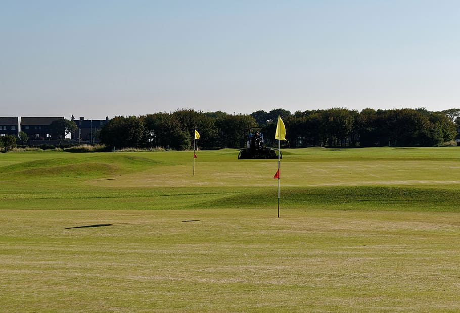 green golf course, golf flags, sport, grass, hole, landscape HD wallpaper
