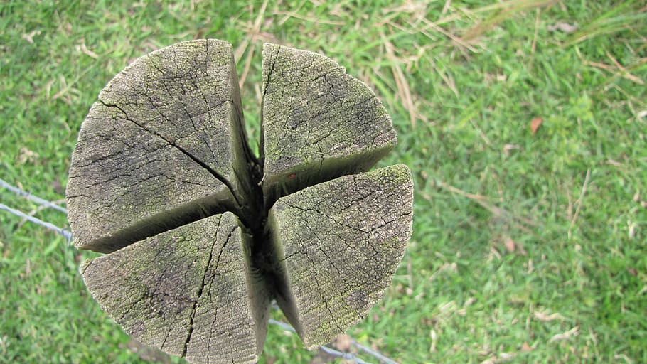 grass, spring, nature, plant, outdoor, wood, alternative, farm HD wallpaper