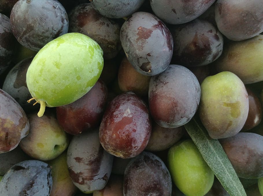 olives, fresh, vegetables, food, fruit, freshness, organic HD wallpaper