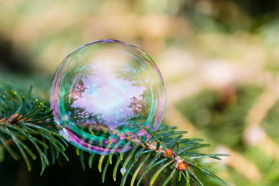 bubble, tree, bubble blower, macro, bubble trees, colored, detail HD wallpaper