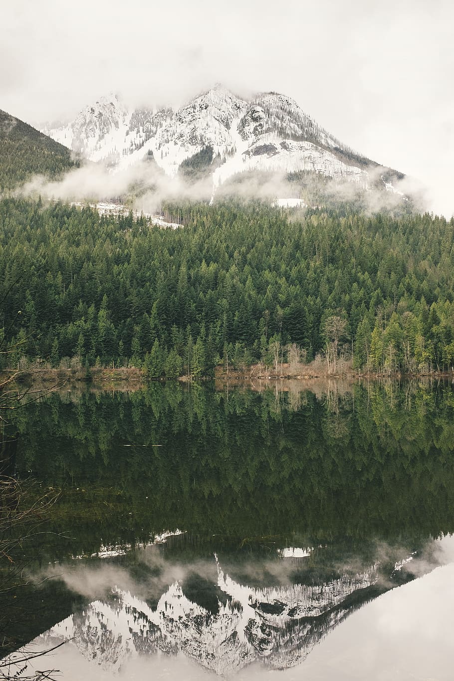 green pine trees in front of mountain ranges, body of water near misty mountain HD wallpaper
