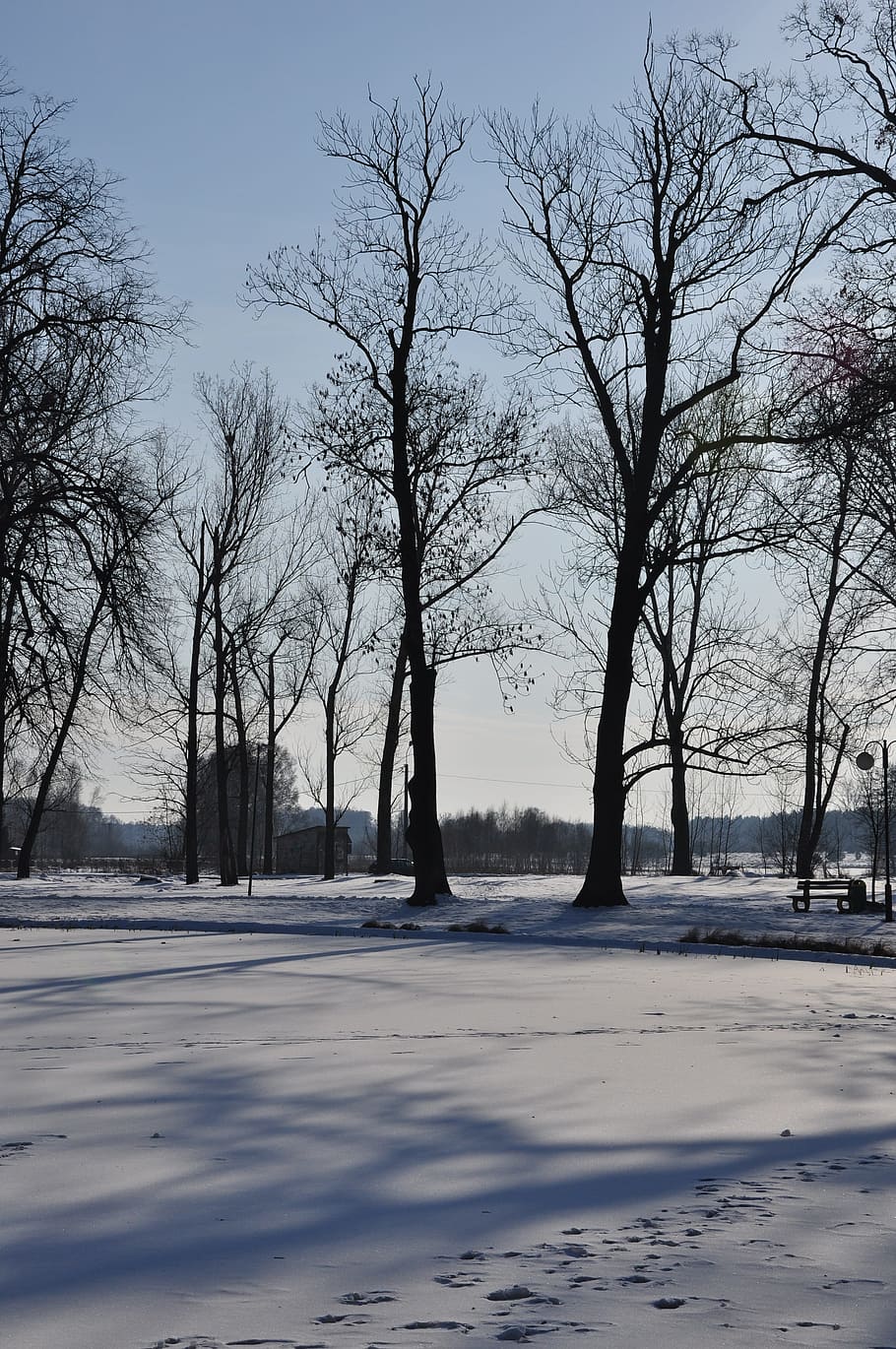 Winter, Snow, Landscape, Tree, nature, cold - Temperature, outdoors HD wallpaper