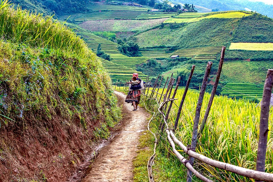 person walking near a rice terraces, the mother, child, a village