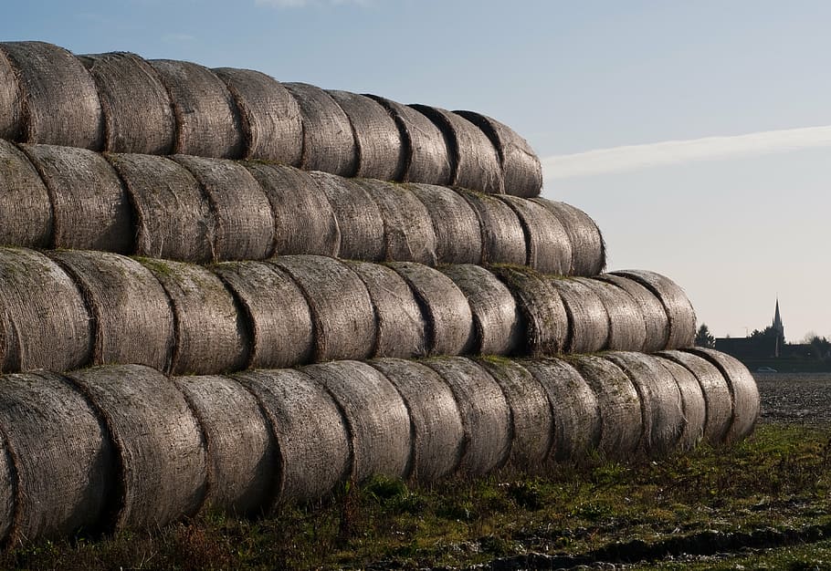 haystack, straw, agriculture, harvest, in a row, food and drink HD wallpaper
