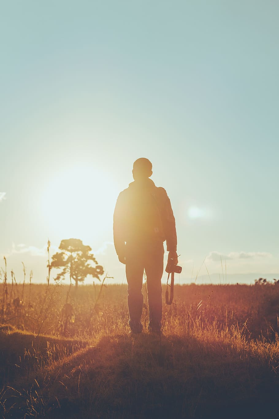 sunlight, rays, man, nature, grass, trunks, sky, guy, photographer HD wallpaper