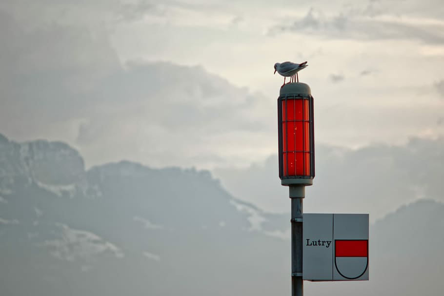 Red, Signal, Geneva, Lake, Bird, Fire, mountains, ouchy, no people