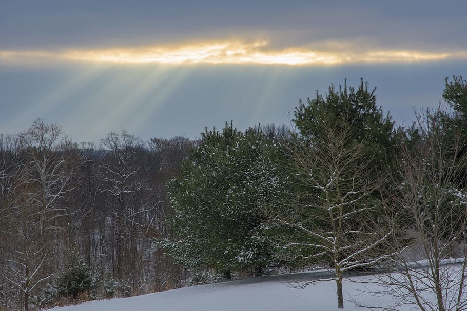 Landscape Photography of Snowy Forest, clouds, cloudy, cold, daylight HD wallpaper