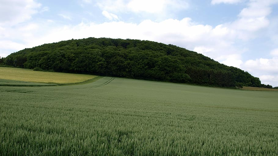 Landscape, Mountain, Field, bausenberg, sky, sachsen, germany HD wallpaper
