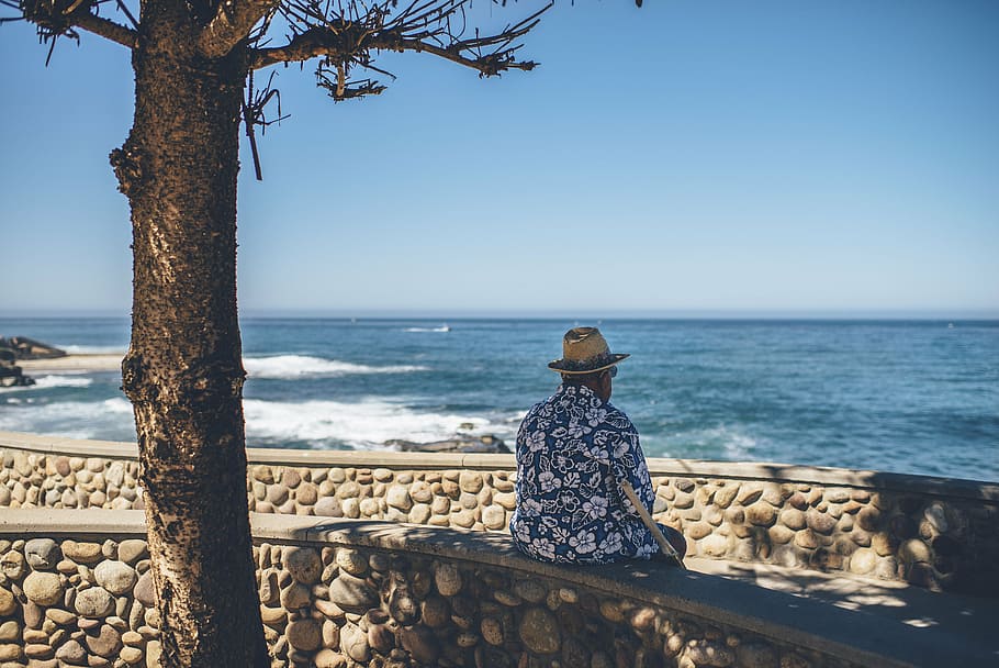 man sitting on concrete bench near tree while facing sea shore HD wallpaper
