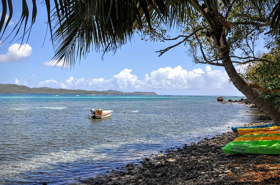 martinique, travel, sun, landscape, coconut, canoe, caribbean, HD wallpaper