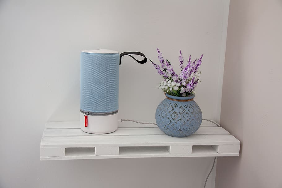 setup, budget, architecture, flower, flowering plant, vase HD wallpaper