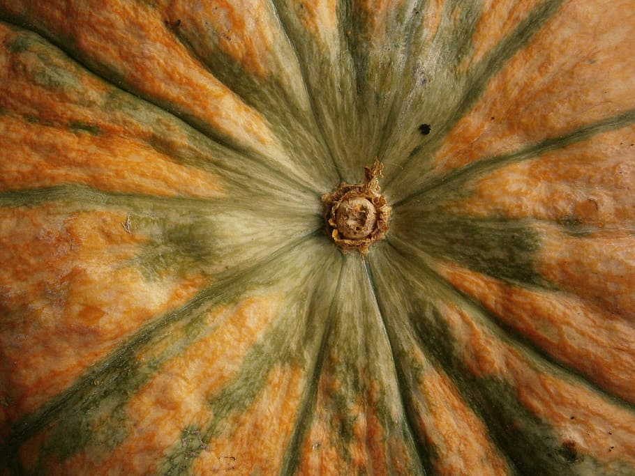 fruit, pumpkin, vegetable, autumn, nature, no people, full frame HD wallpaper