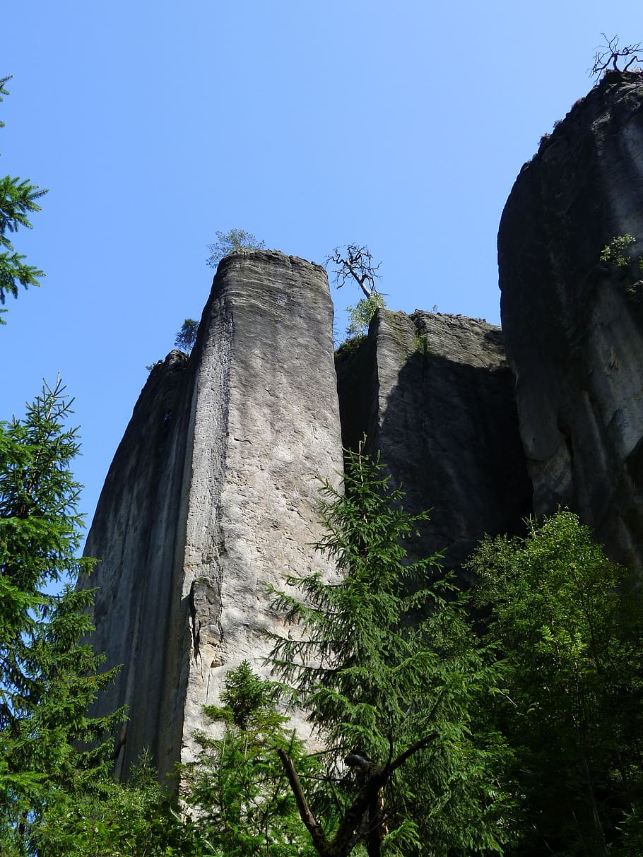rock wall, trees, stone, nature, bohemia, rocks, sky, plant HD wallpaper