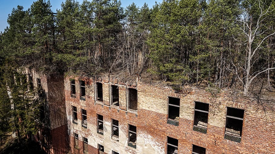 old, building, brick, window, nature, abandoned, break up, ruin, HD wallpaper