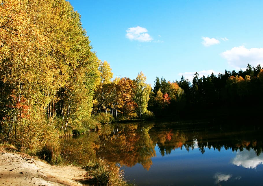 pond, water, sky, reflection, surface, nature, south bohemia HD wallpaper