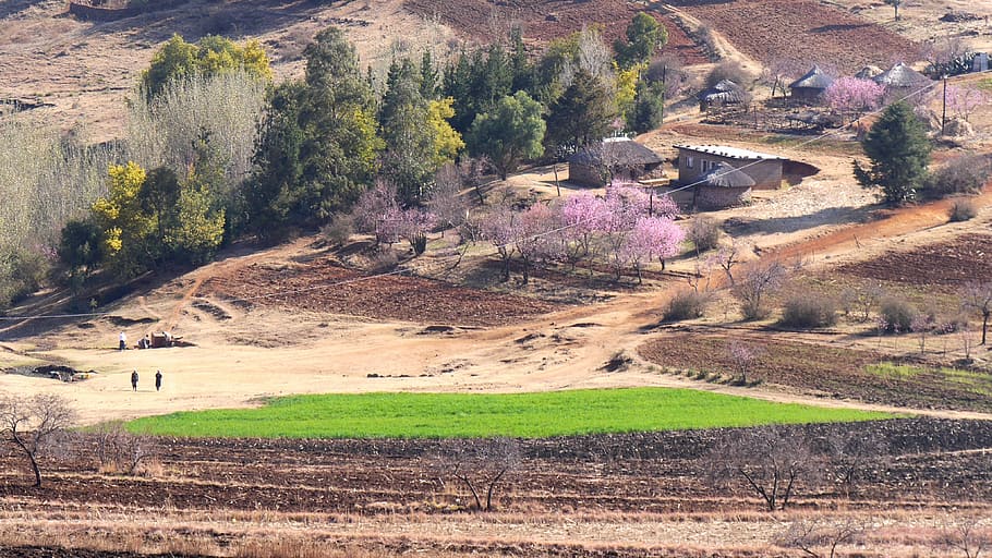 lesotho, settlement, landscape, spring, nature, rural Scene, HD wallpaper