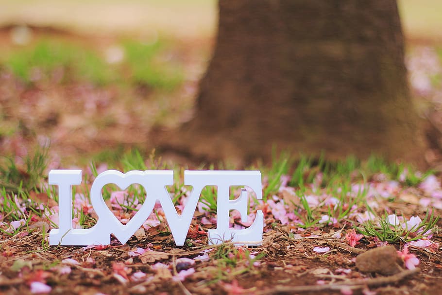 white love text cutout decor, nature, leaf, single Word, autumn HD wallpaper