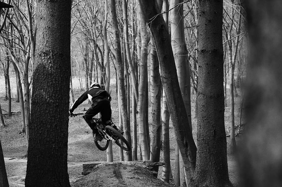 rairdon, downhill, black white, tree trunk, one person, sport HD wallpaper