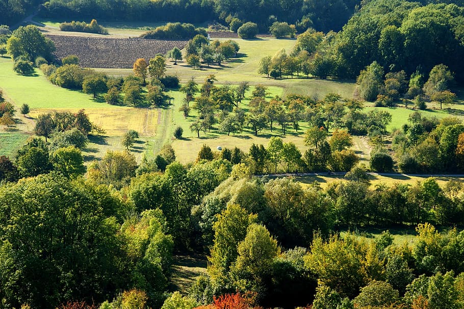nature, tree, landscape, hill, summer, travel, panorama, agriculture HD wallpaper